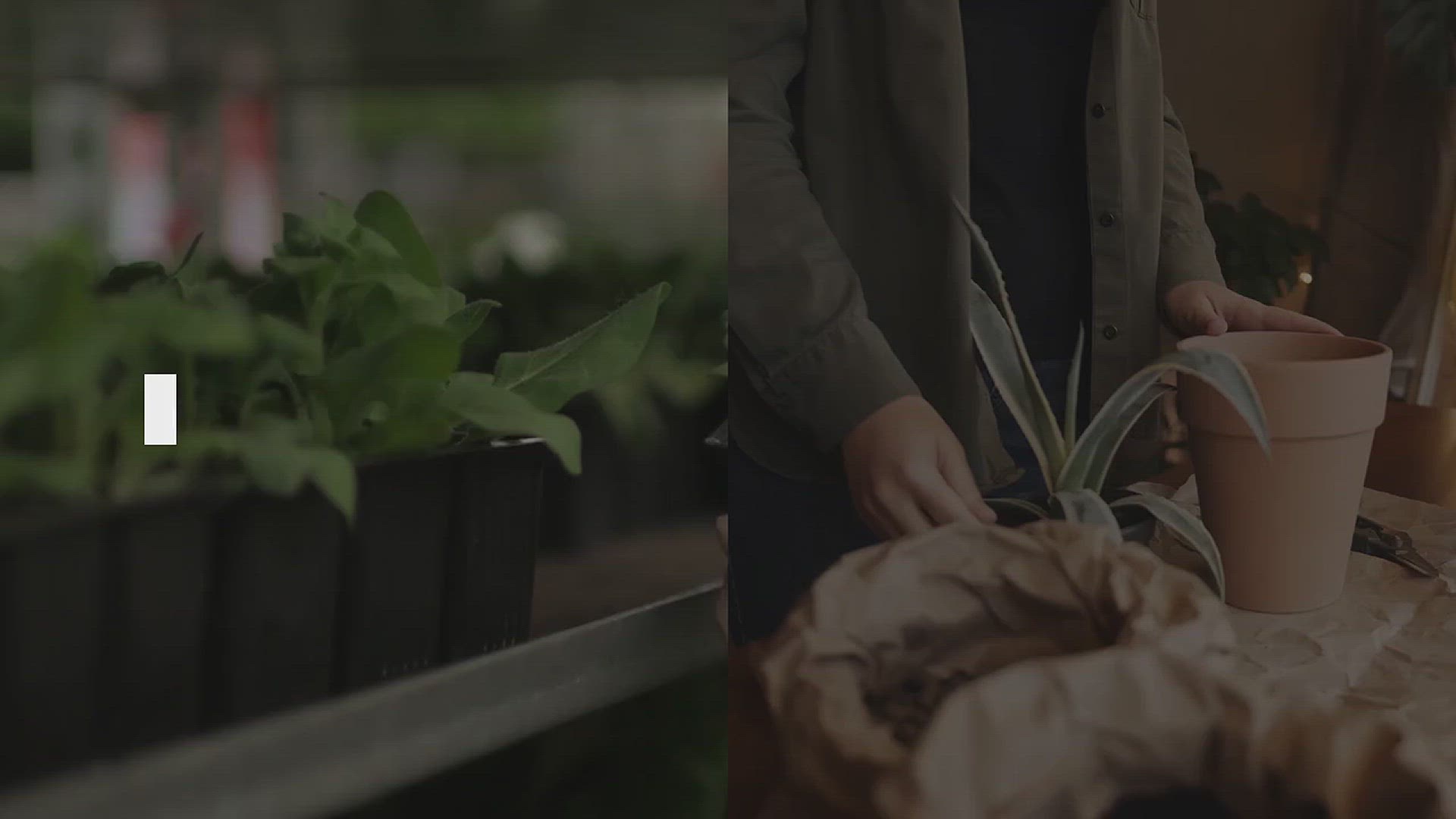 'Video thumbnail for Stylish Wood Planter Box Ideas for Your Home and Garden'