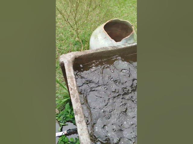 Video thumbnail for 5 de outubro de 2025