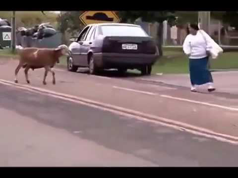 Video thumbnail for F__k everything