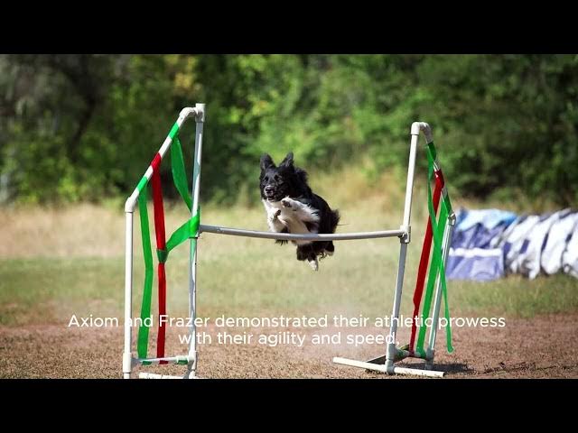 Video thumbnail for Schefter Says Bill Belichick 'isn't The Favorite!' For Falcons Head Coaching Job | Get U