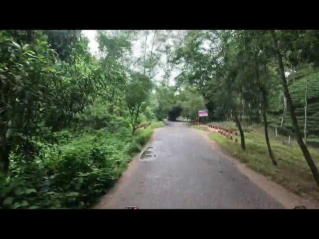 Video thumbnail for প্রকৃতির সুরে রাজকান্দি ফরেস্ট
