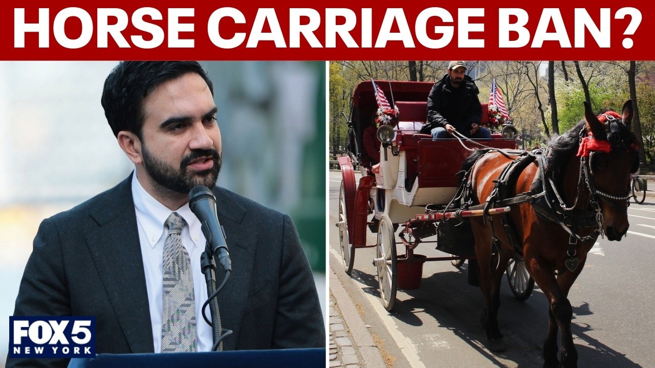 Video thumbnail for NYC horse carriage ban could be on the way