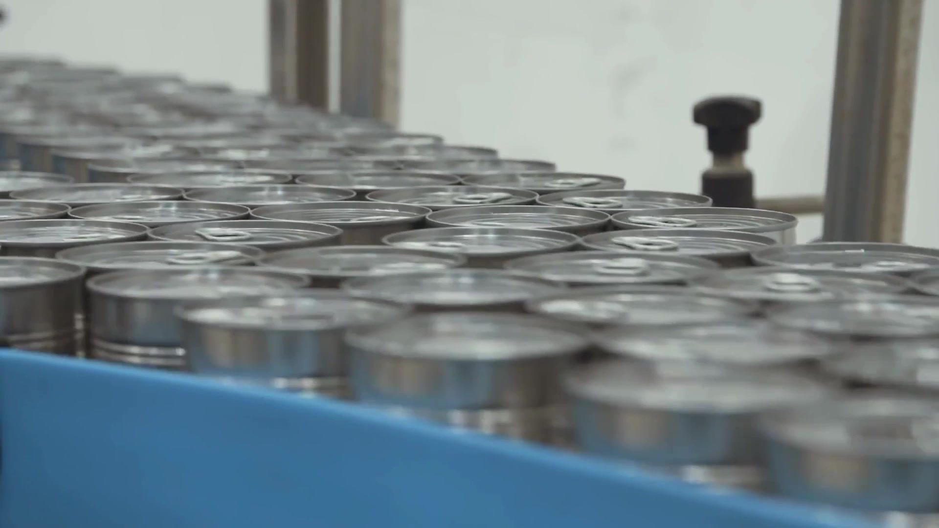 Video thumbnail for The Unexpected Canned Soup You Should Be Adding To Pork Chops