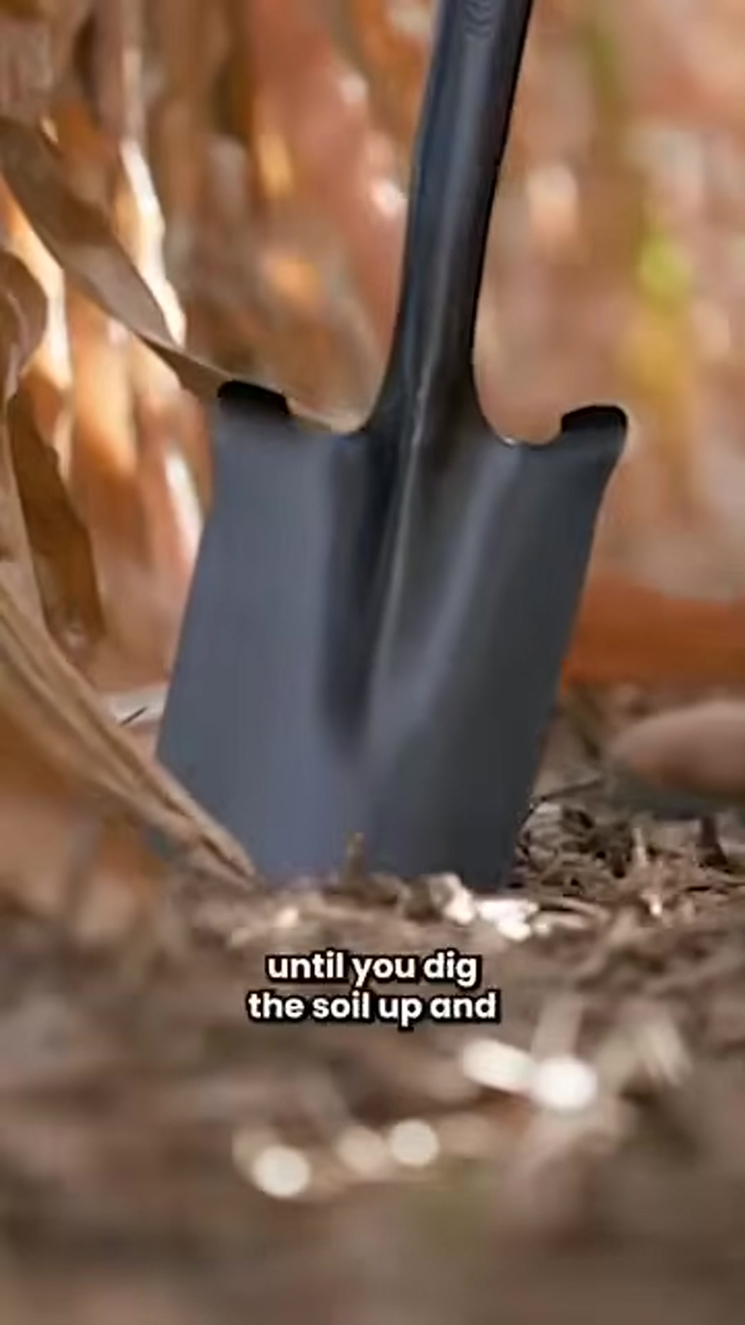 Video thumbnail for American farmers