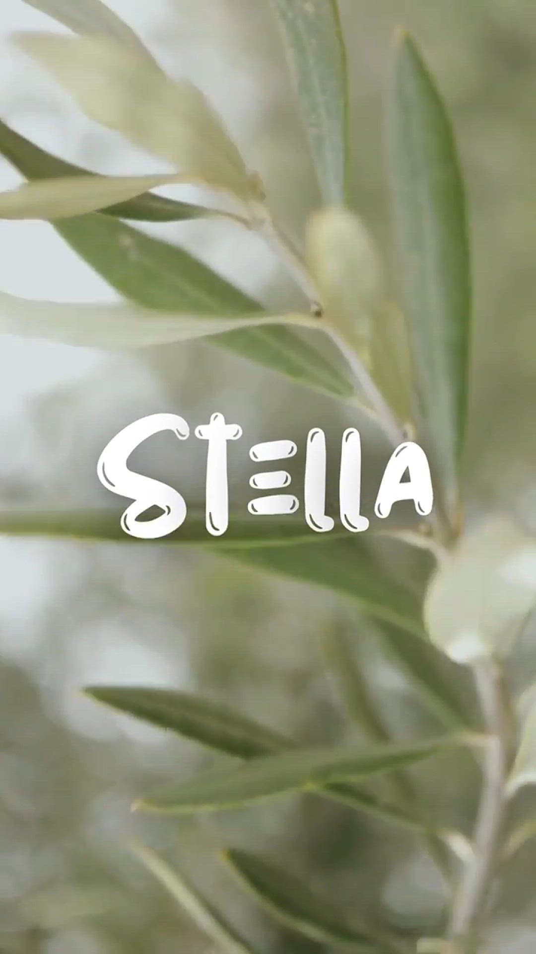 'Video thumbnail for The BEST Free Canva FONTS [my 2022 favorites]'