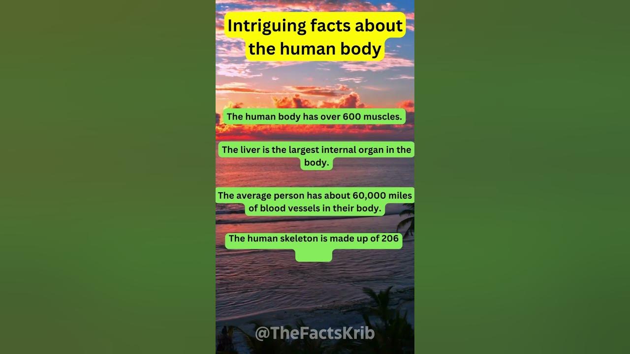 Video thumbnail for Intriguing Facts About The Human Body