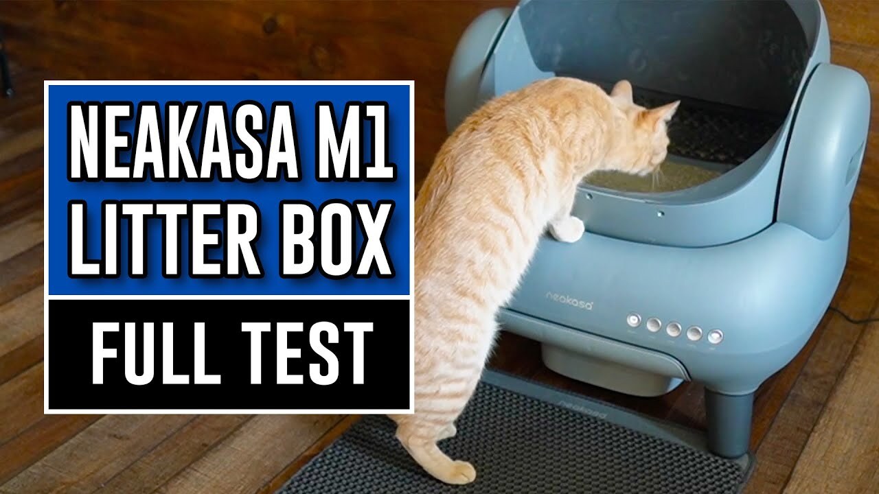 Video thumbnail for Neakasa M1 Automatic Litter Box Setup and App Control