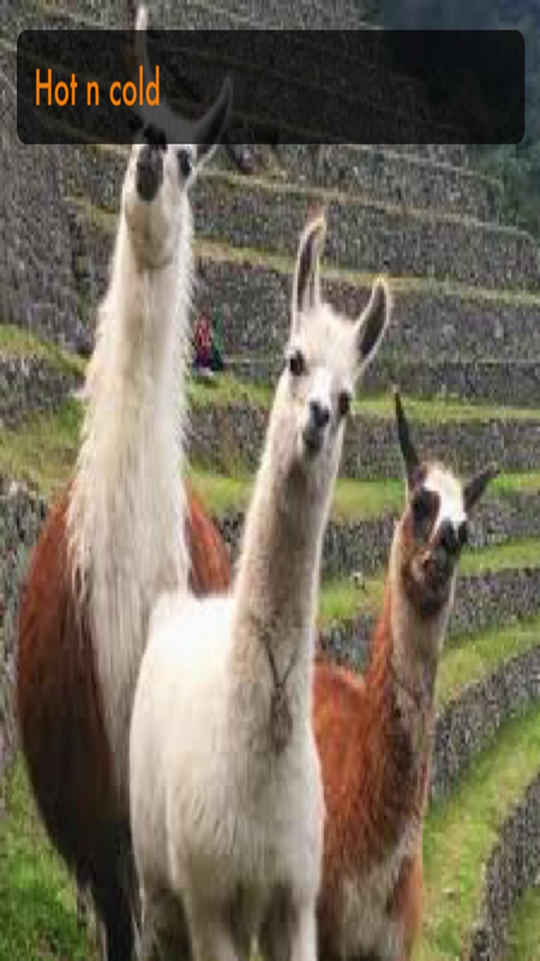 Video thumbnail for Hot n cold