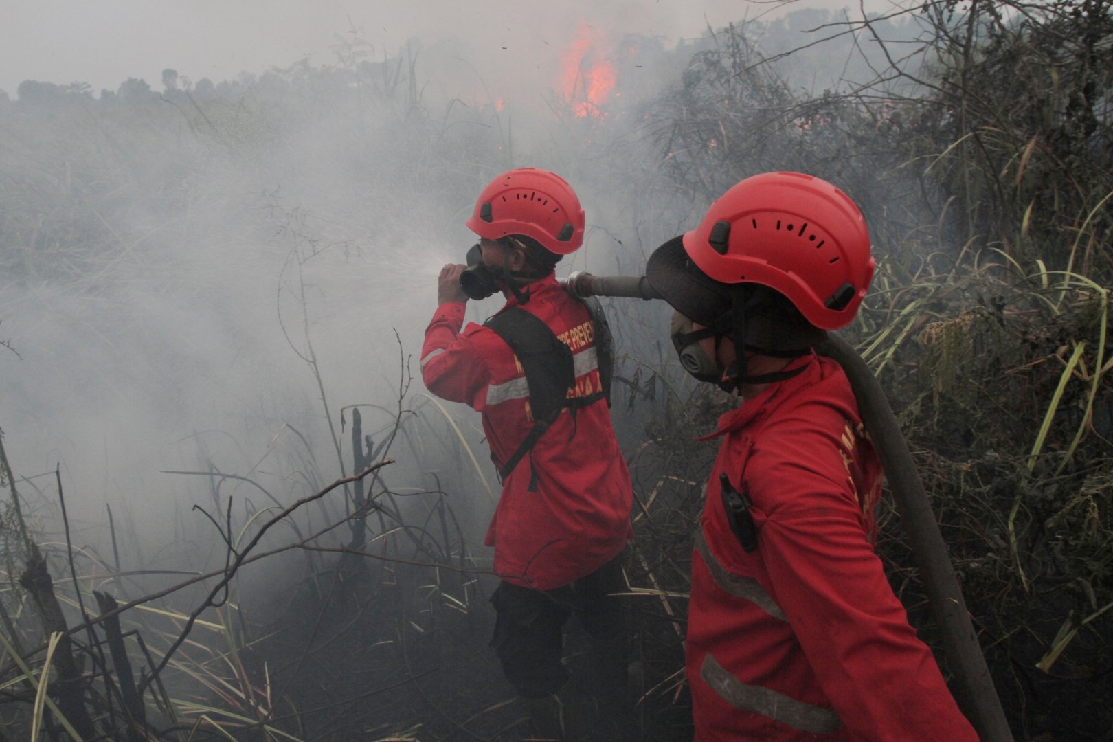 Video thumbnail for Wildfires on Indonesia's Borneo island turn the air toxic