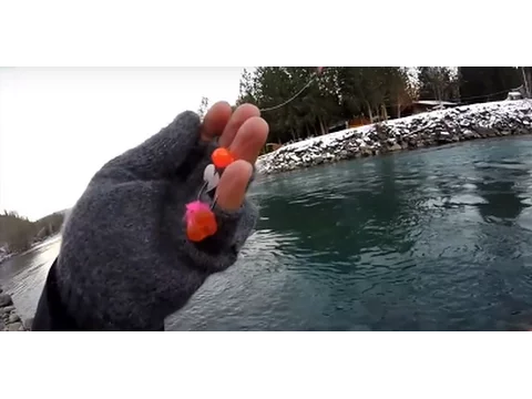 Video thumbnail for Early Winter Steelhead Scouting - Chilliwack River