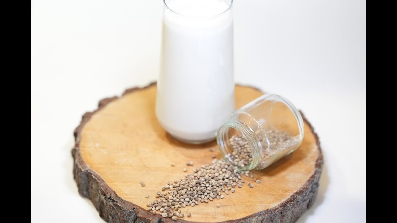 Video thumbnail for Hemp Milk/ Recipe for healthy and delicious hemp milk at home - Free Dairy