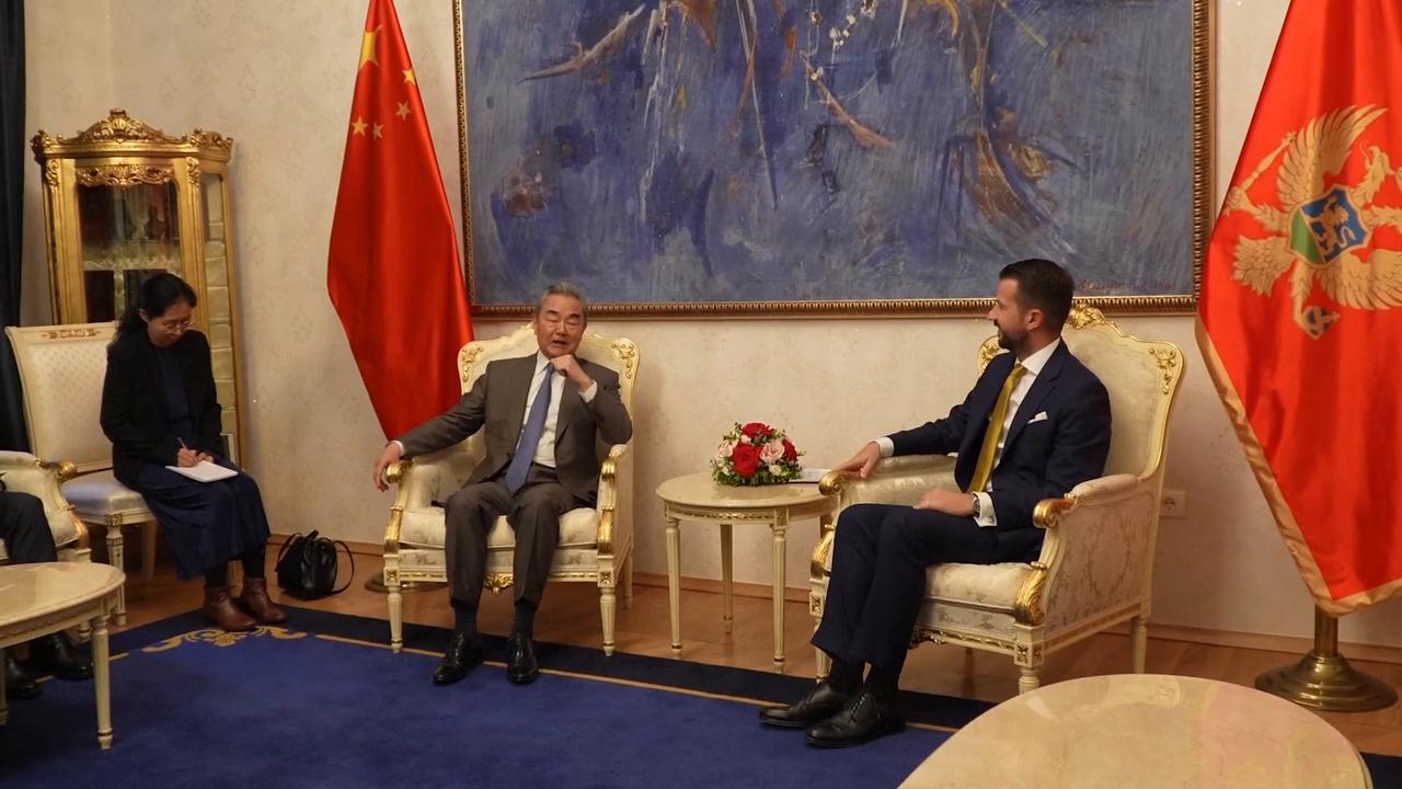 Video thumbnail for Montenegro: Montenegrin president meets Chinese foreign minister.