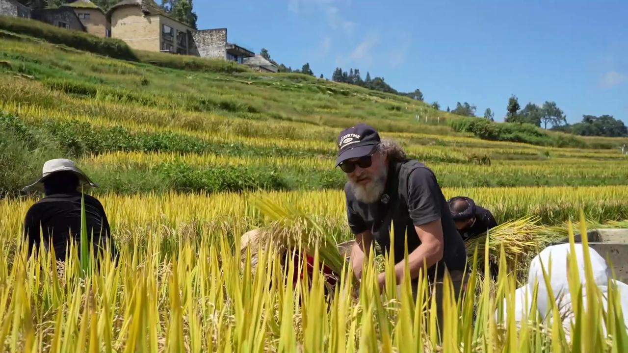 Video thumbnail for China: Foreign Tourists Seek Deeper Experiences Beyond Cities.