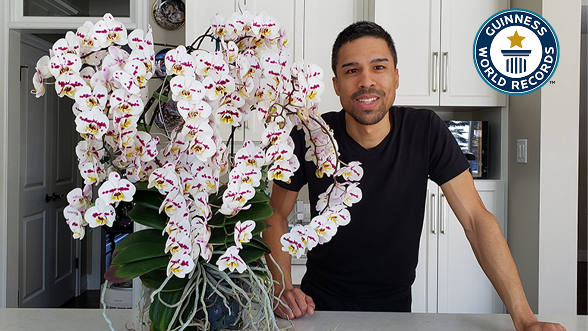 'Video thumbnail for Kevin Englisch's record-breaking orchid bloom with 159 flowers'