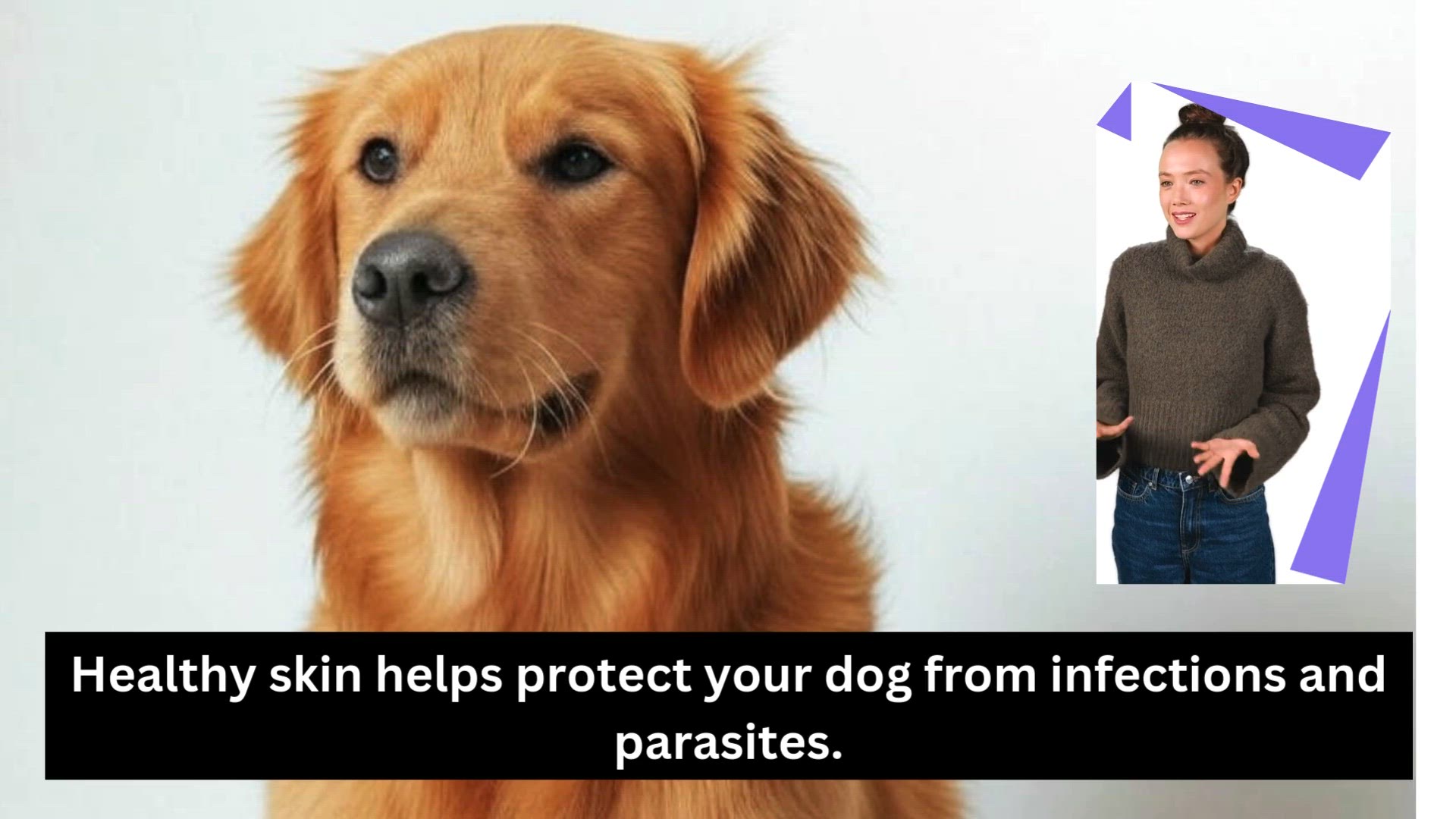 Video thumbnail for Dog skin health