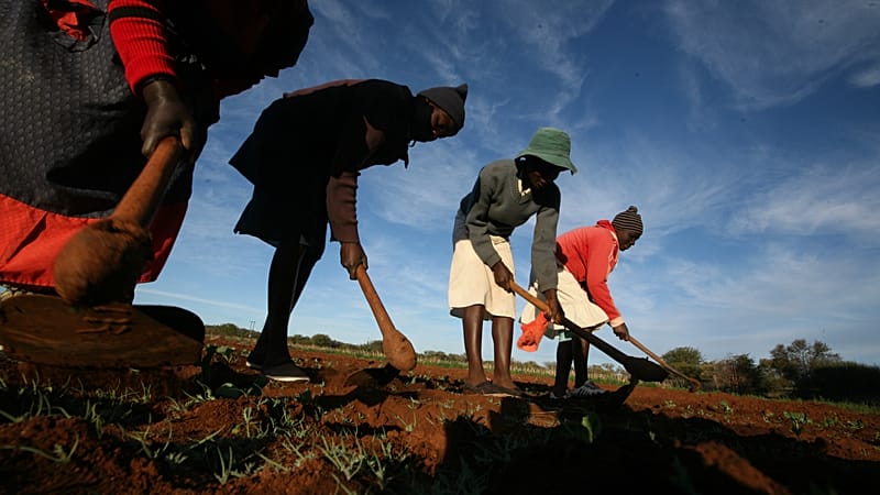 Video thumbnail for Zimbabwe to return 67 farms seized under Mugabe-era land reforms