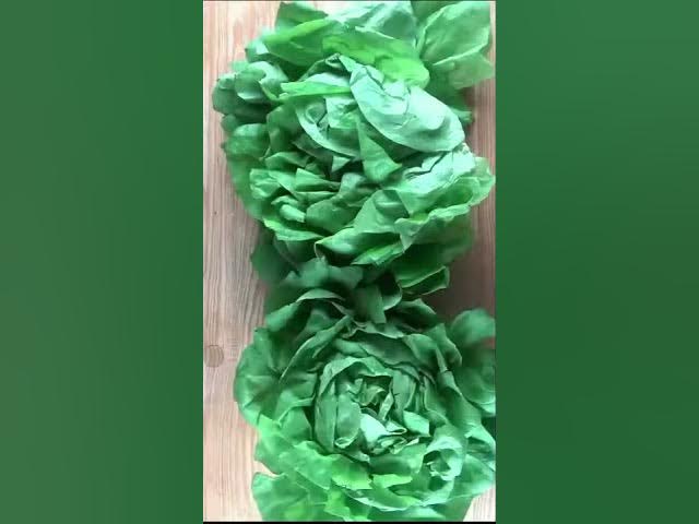 Video thumbnail for #shorts - Usurica si delicioasa - Ciorba de salata cu muuulta verdeata