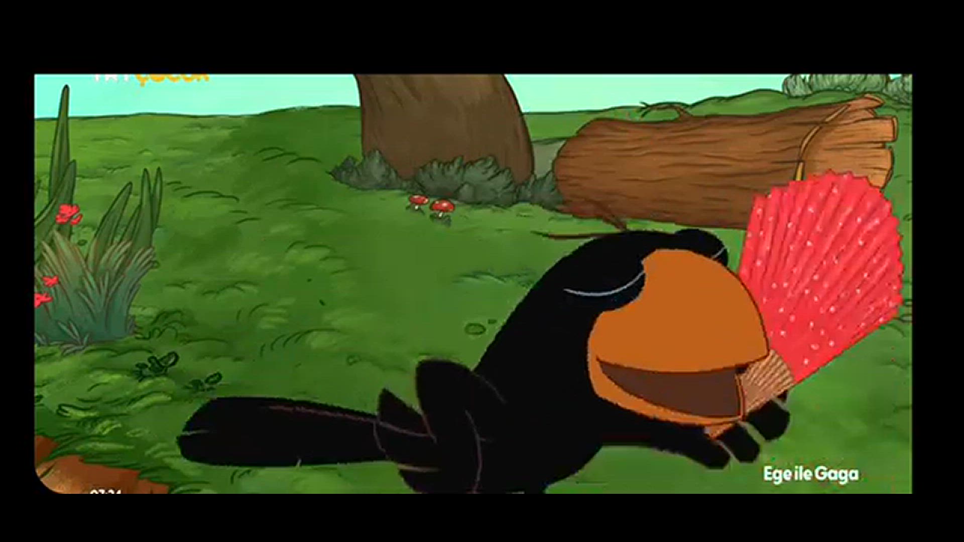 Video thumbnail for 8 January 2023