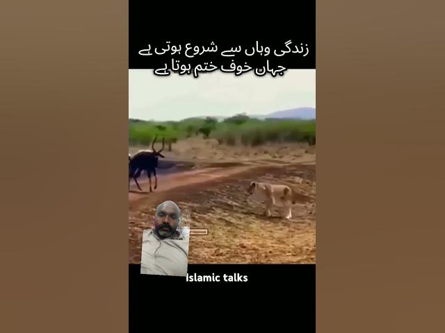 Video thumbnail for Hasbi_Rabi_Jallallah..🪔🤲🎧_Relaxing_#duet #iloveprophetmuhammadﷺ #shortvideo #allah_"