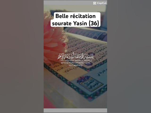 Video thumbnail for Sourate Yasin, très belle récitation douce et apaisante.