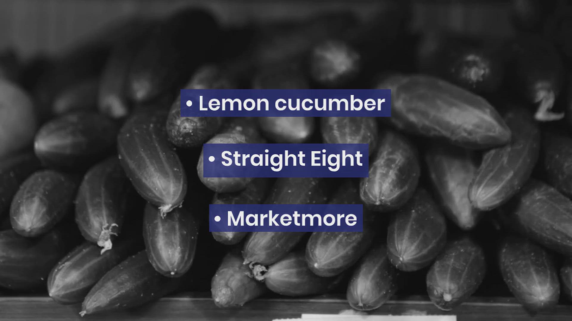 'Video thumbnail for How to Grow Cucumbers Vertically'