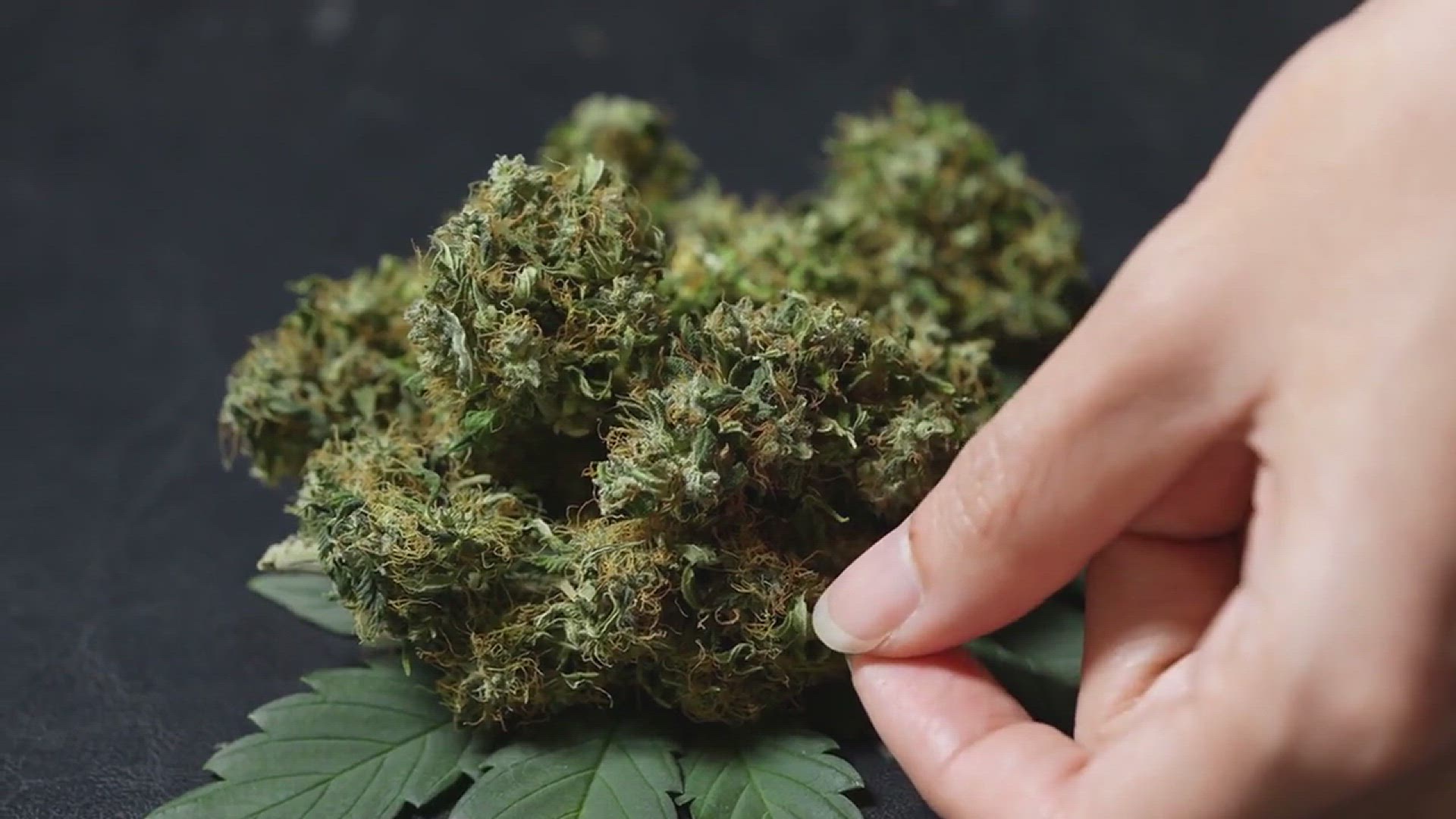 'Video thumbnail for How to Revive a Dying Plant'