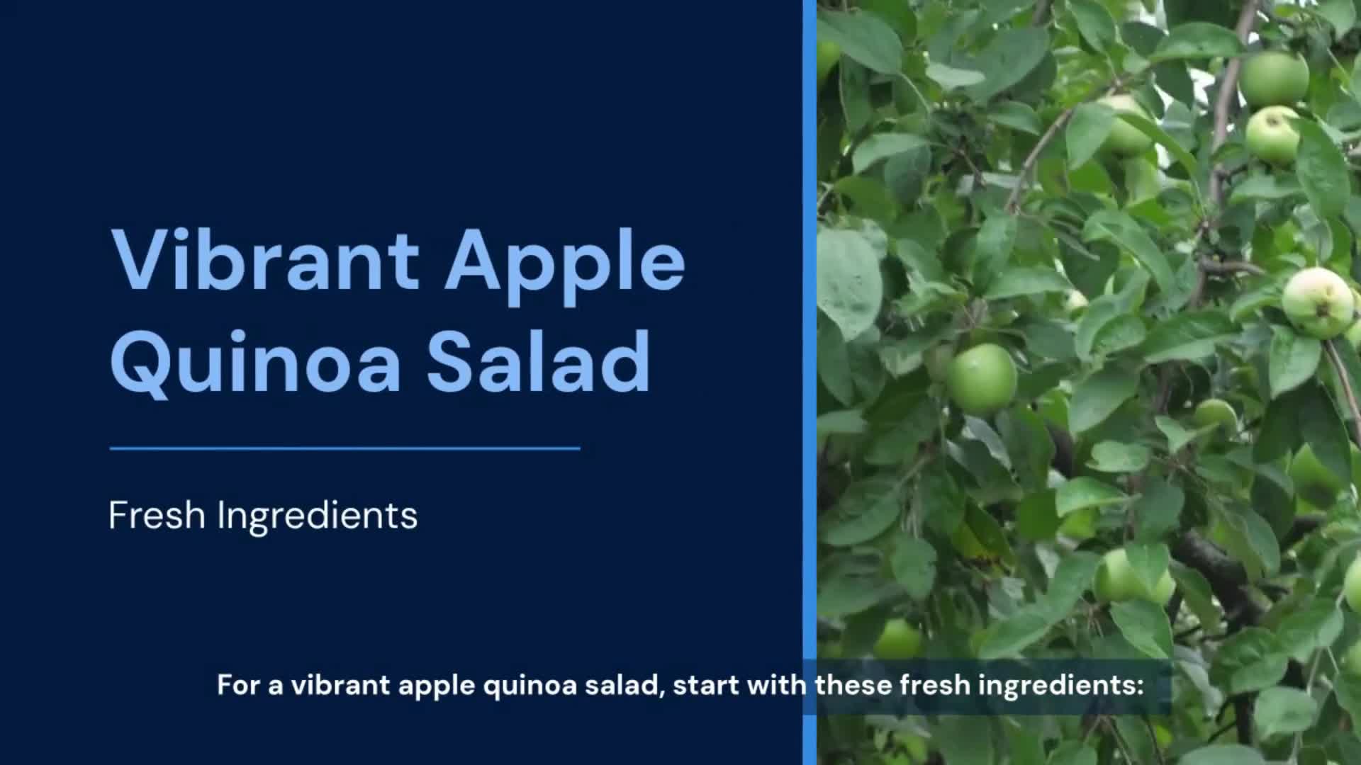Video thumbnail for Best Apple Quinoa Salad Recipe