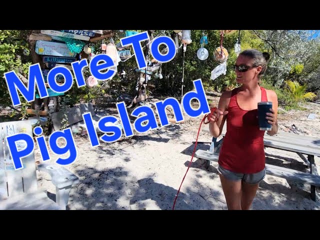 'Video thumbnail for Sailing Life Adventures: Fixing Leaks, Snorkeling, and Generator Troubles | Ep 68 #svaguaazul #boat'