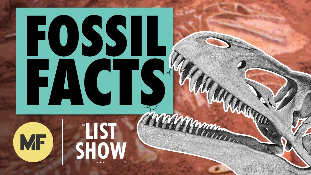 Video thumbnail for 26 Facts About Fossils | Mental Floss