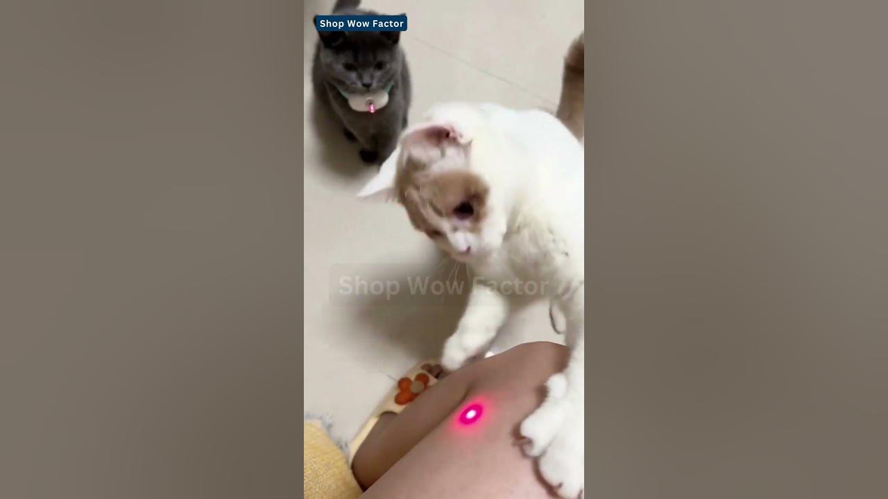 Video thumbnail for Pet Happiness || Laser Smart Amusing Collar for Kitten || Link is in Description || #cats #toys