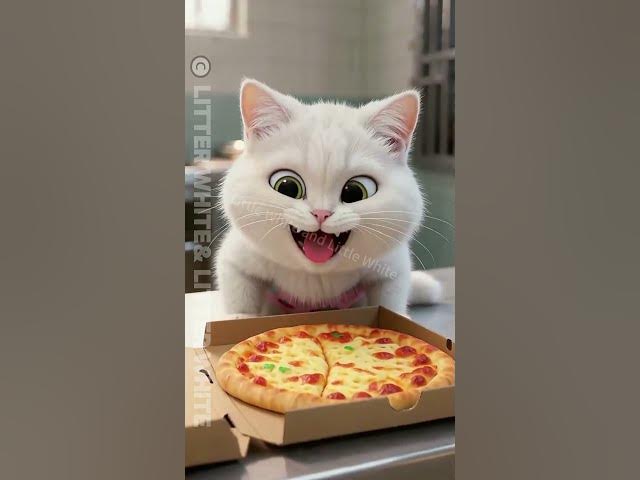 Video thumbnail for Doggie Thought He Got a huge Pizza , Finally Kitty so happy~ #funny #animation #cute #shorts #story