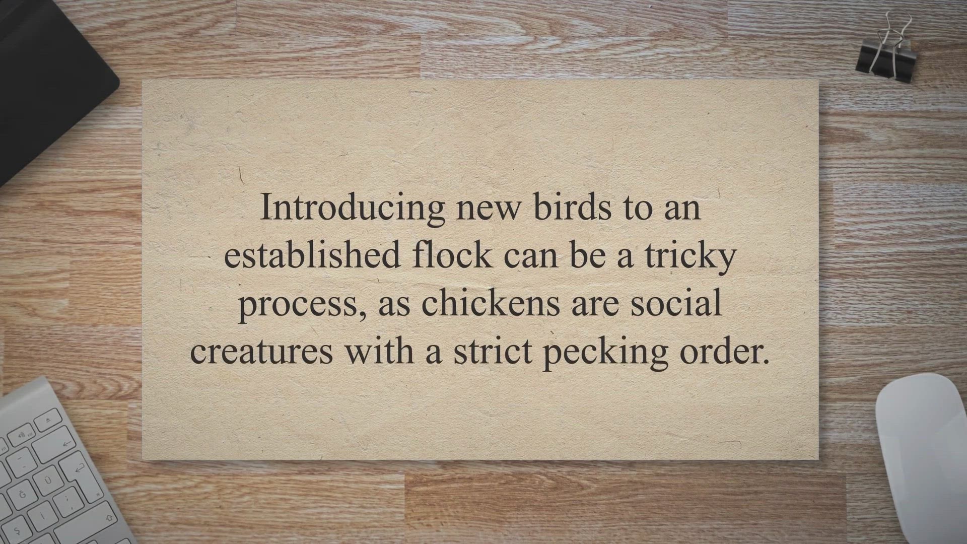 Video thumbnail for How to Introduce New Chickens to an Existing Flock