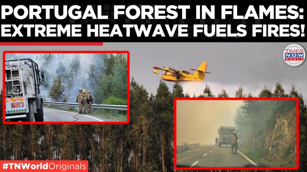 Video thumbnail for WATCH: Massive Wildfire Rages In Central Portugal; Spanish Military Units Deployed To Battle Flames