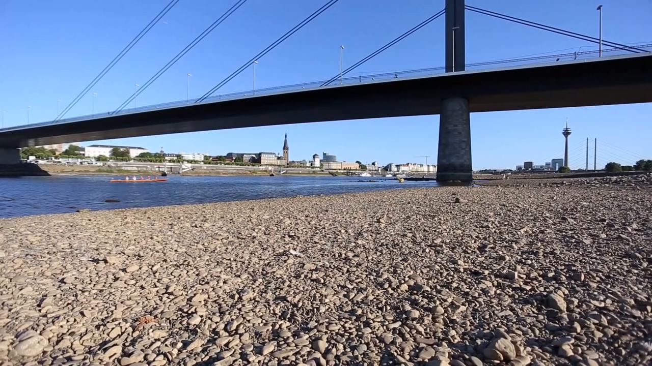 Video thumbnail for Germany: Major European rivers record historic low flows amid severe drought.