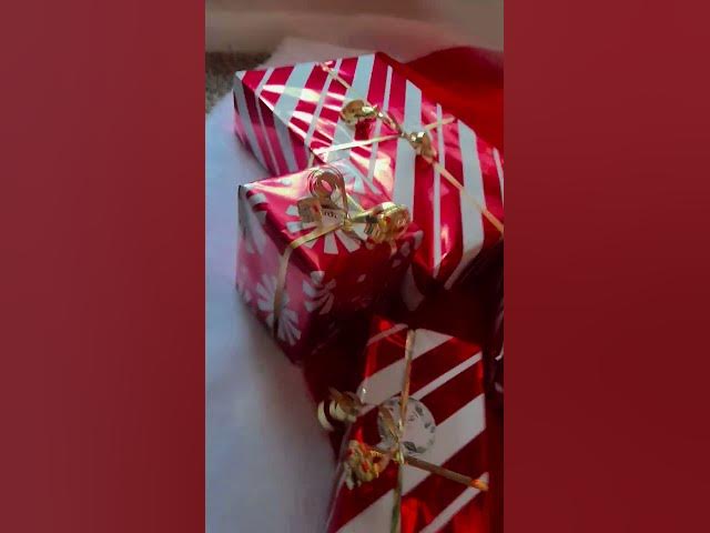 Video thumbnail for 17 de diciembre de 2024