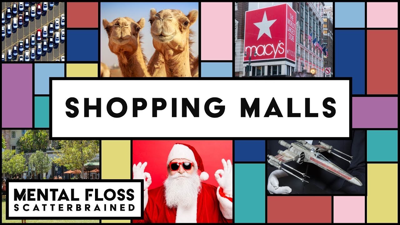 Video thumbnail for The Behind the Scenes Secrets of Shopping Malls - Mental Floss Scatterbrained | Mental Floss