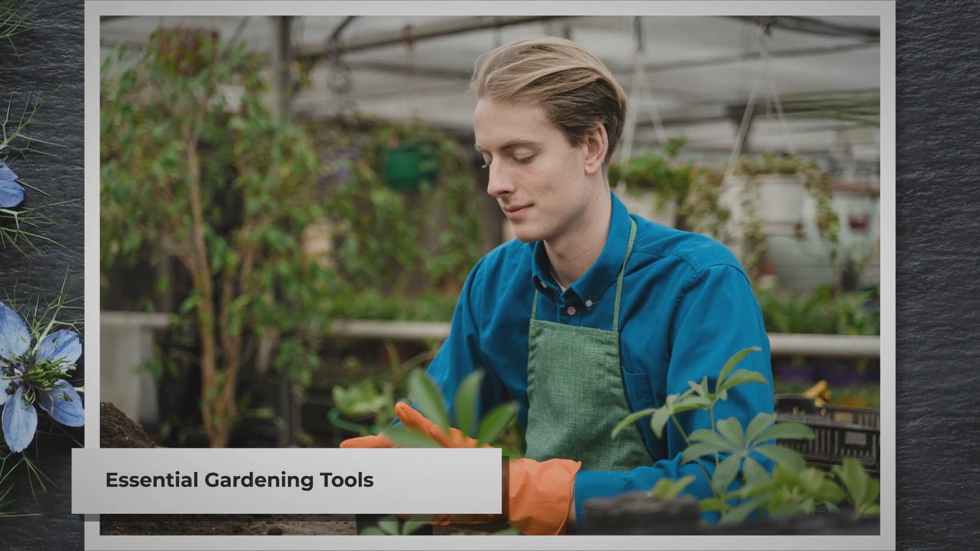 'Video thumbnail for 7 Essential Tools for Every Gardener'