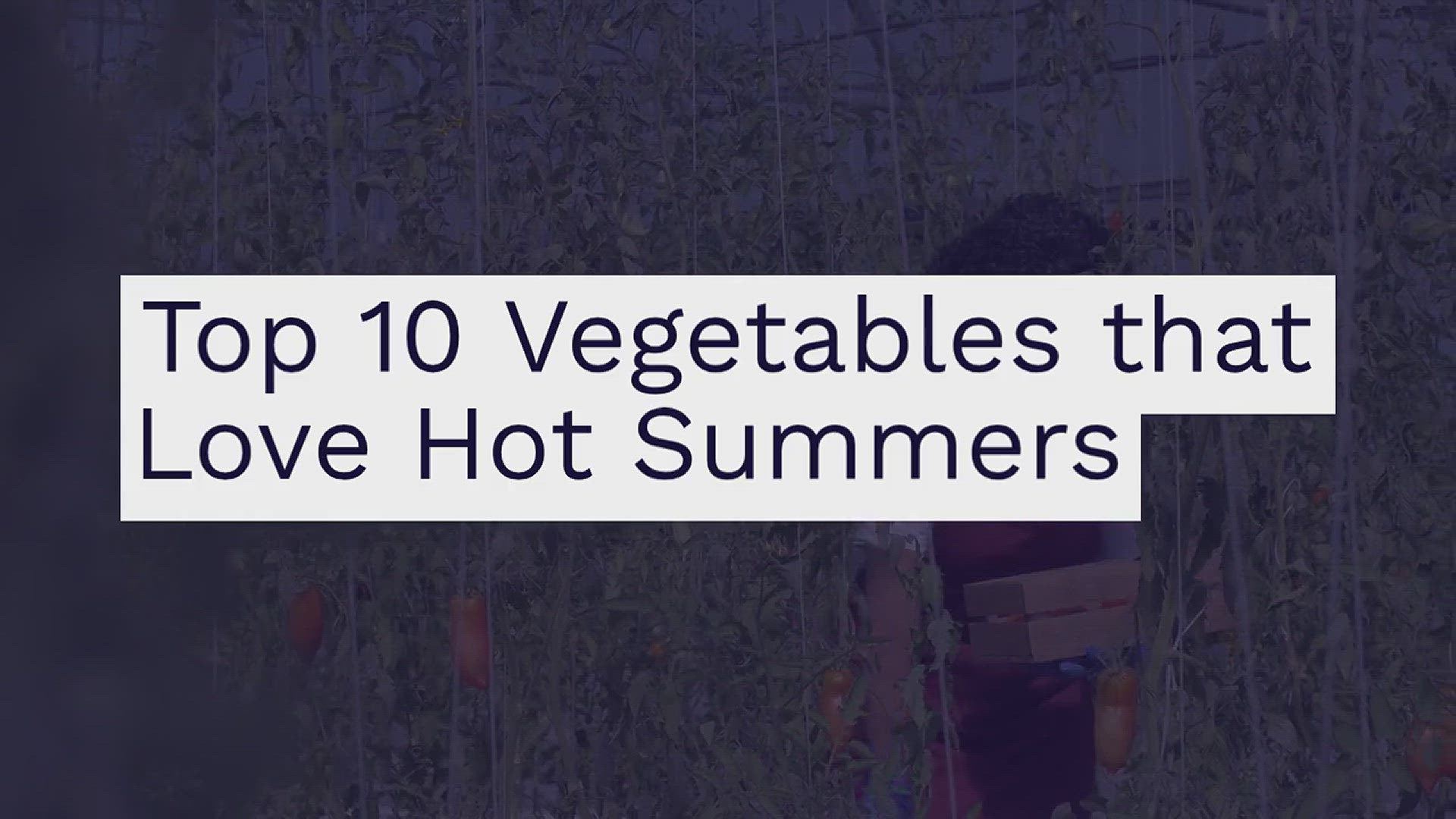 'Video thumbnail for 10 Vegetables That Thrive in Hot Summers'