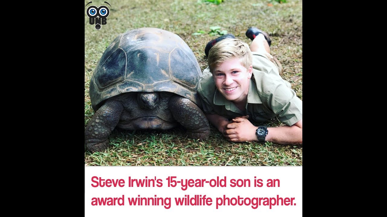 Video thumbnail for 15 Lesser-known facts about 'The Crocodile Hunter' - aka the Late, Great Steve Irwin