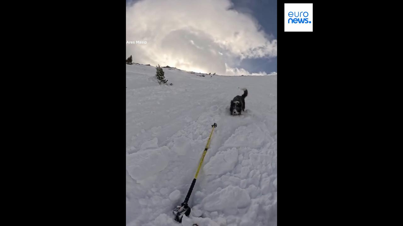 Video thumbnail for Watch: Moment skier and dog caught in avalanche