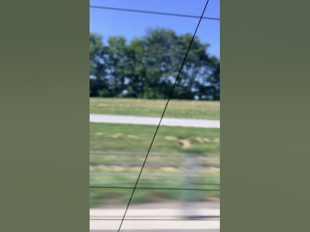 Video thumbnail for August 26, 2025