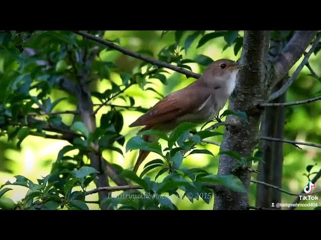 Video thumbnail for 2 March 2022