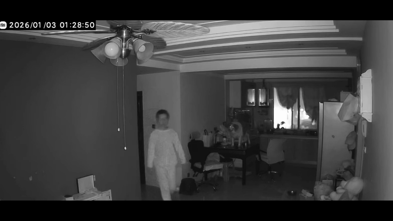 Video thumbnail for Midnight Shock: Dog Startles Woman in Henan Home