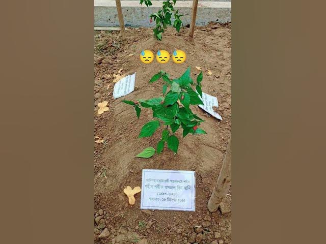 Video thumbnail for Jundullah🌸#osmanhadi #sahada #everyone