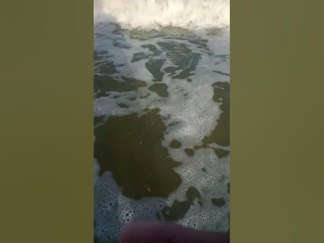 Video thumbnail for Черное море