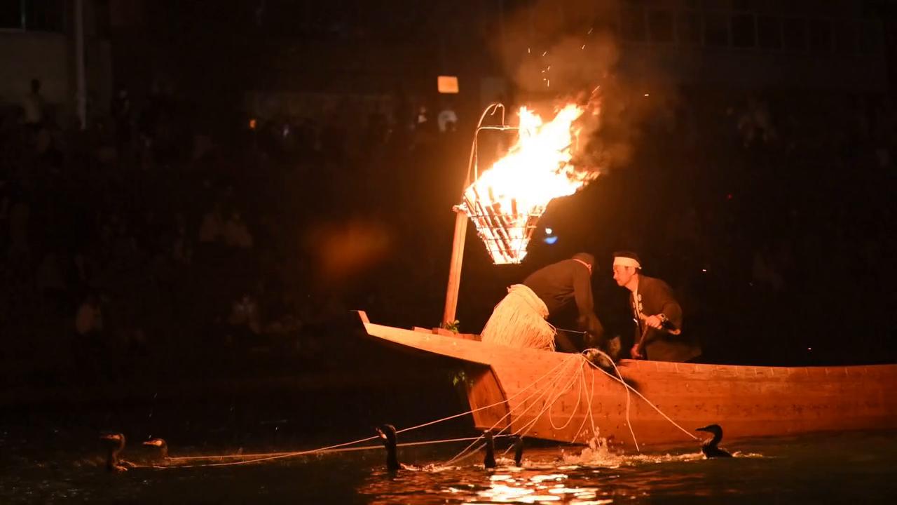 Video thumbnail for Japan: Opening of cormorant fishing season in central Japan.
