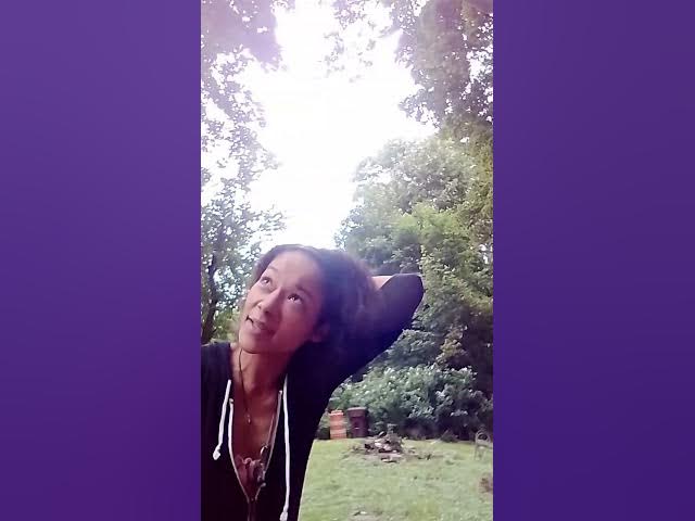 Video thumbnail for Meet Your Muse | Plant the Garden Even If It Doesn’t Bloom Yet (8/01 pt 2)