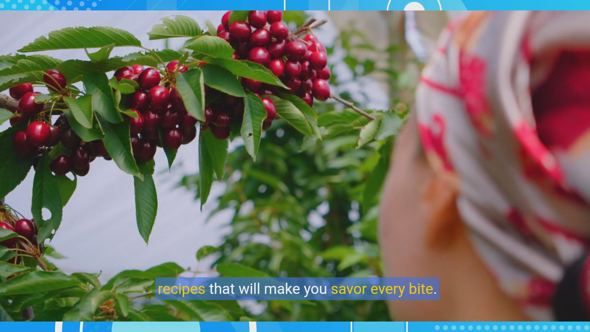 'Video thumbnail for Cherry Picking Delights: Delicious Recipes for Your Freshly Picked Cherries'