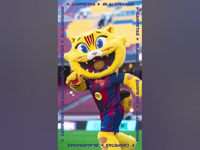 Video thumbnail for SALE A LA VENTA LA TAZA CAT