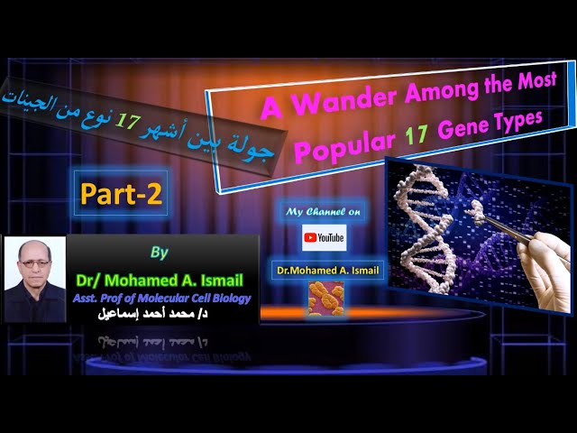 Video thumbnail for Encyclopedia of Gene Types (Part-2) (موسوعة أنواع الچينات (الحلقة الثانية